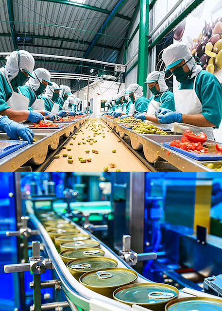 Food Processing